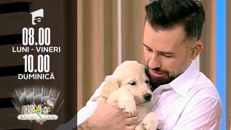 Neatza de Weekend, 21 noiembrie 2021. Totul despre Golden Retriever, cea mai iubită rasă de căței