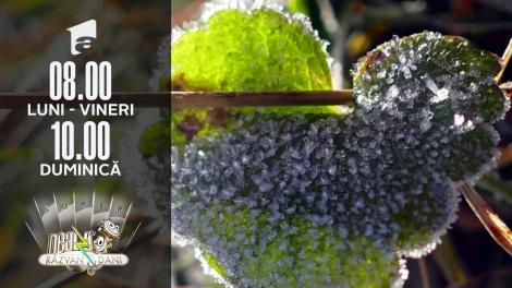 Super Neatza, 25 noiembrie 2021. Cum va fi vremea în minivacanța de 1 Decembrie.  Prognoza Meteo ANM