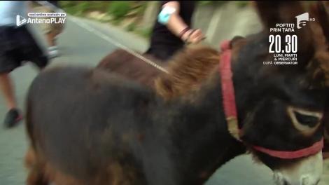 Poftiți prin țară, 22 decembrie 2021 - Ediția 9 | Ce urmează