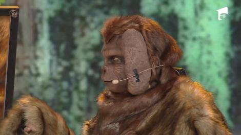 Revelionul Starurilor 2022, 31 decembrie 2021. Demascarea. Cine s-a ascuns în spatele măștii ”Regele Maimuțelor - King Louie”