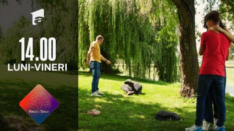 Povești de familie - sezonul 2, episodul 6, 7 martie 2022. Dragoș și Oana, atacați în parc!