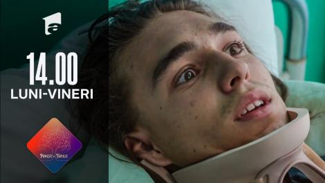 Povești de familie - sezonul 2, episodul 11, 14 martie 2022. Andrei își dorește să moară: Nu pot să trăiesc ca o legumă!