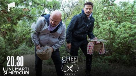 Chefi fără limite, 21 martie 2022. Unii au alergat după porci, alții după ciuperci! La ce probe au fost supuși concurenții