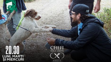 Chefi fără limite, 21 martie 2022. Vânătoare de trufe alături de câini! Florin Dumitrescu: Nu cred așa ceva!