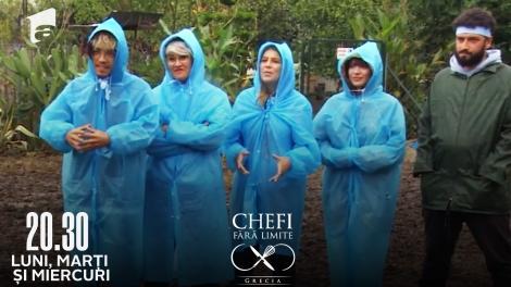 Chefi fără limite, 30 martie 2022. Cocoșii din Corfu, mai ageri decât se așteptau concurenții