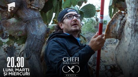 Chefi fără limite, 5 aprilie 2022. Florin Dumitrescu, accidentare dureroasă la cules de fructe de cactus