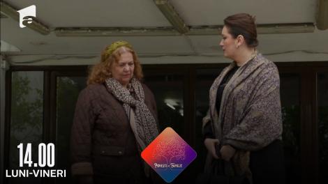 Povești de familie - sezonul 2, episodul 34, 14 aprilie 2022. Ionuț ajunge închisoare după ce îl lovește pe colegul de școala al Brândușei