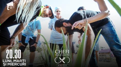 Chefi fără limite, 20 aprilie 2022. Sucul de aloe vera i-a chinuit pe chefi