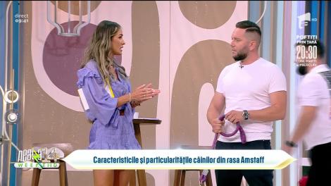 Neatza de Weekend, 17 iulie 2022. Platoul s-a umplut de catei din rasa Amstaff