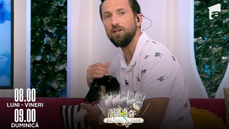 Super Neatza, 13 septembrie 2022. ASPA organizează un nou târg de adopții de căței