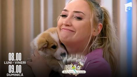 Super Neatza de Weekend, 18 septembrie 2022. Informații utile despre rasa de c&acirc;ini Corgi