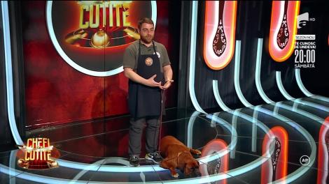 Chefi la cuțite sezonul 10, 28 septembrie 2022. Petre Roman, concurentul care a făcut senzație cu patrupedul său