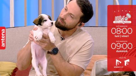 Super Neatza, 8 noiembrie 2022. Evelina Vîrlan, o nouă campanie de suflet pentru prietenii blănoși