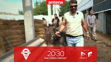 Poftiți pe la noi: Poftiți la târg, 14 decembrie 2022. Liviu Vârciu și Capet, replici acide. Ce s-a întâmplat la fermă