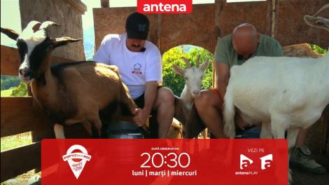 Poftiți pe la noi: Poftiți la târg, 21 decembrie 2022. Aventuri la mulsul caprelor. Ce a păți Romică Țociu