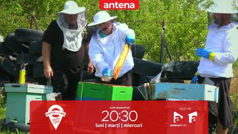 Poftiți pe la noi: Poftiți la târg, 21 decembrie 2022. Andrei Ștefănescu l-a „liniștit” cu fum pe Romică Țociu! Ce s-a întâmplat