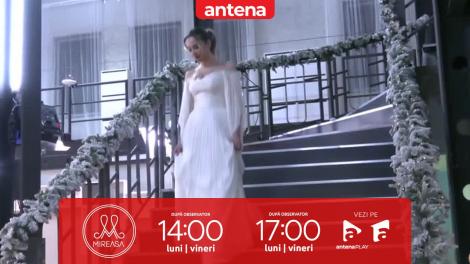 Mireasa Sezonul 6, 22 decembrie 2022. Familiile fetelor, în platoul emisiunii