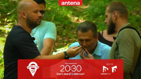 Poftiți pe la noi: Poftiți la târg, 27 decembrie 2022. Vedetele au cules și au văzut pentru prima dată trufe! Cum a reacționat Andrei Ștefănescu