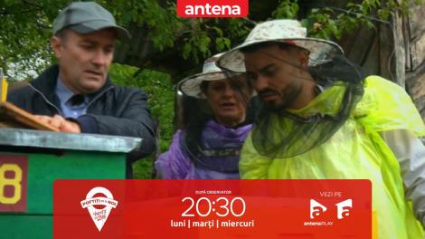 Poftiți pe la noi: Poftiți la târg, 2 ianuarie 2023. Jador, la proba calculului matematic în mijlocul stupilor de albine