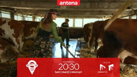 Poftiți pe la noi: Poftiți la târg, 9 ianuarie 2023. Cum s-a descurcat Iulia Albu la munca din grajd