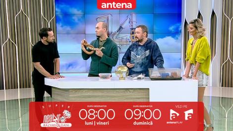 Super Neatza, 11 ianuarie. Care sunt beneficiile de care se bucură copiii care cresc cu animale de companie