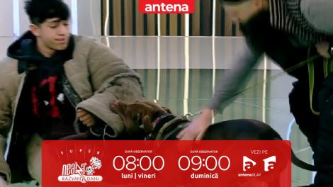 Neatza de Weekend, 22 ianuarie 2022. Moment spectaculos de dresaj canin