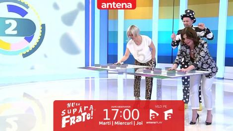 Nu te supăra, frate!, 2 februarie 2023. Sanda Ladoși și Luminița Anghel la jocul culorilor