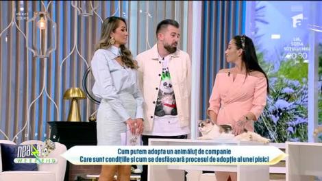 Neatza de Weekend, 5 februarie 2023. Cum putem adopta un animăluț de companie