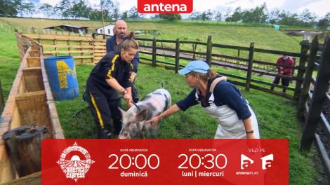 America Express, 26 februarie 2023. Cătălin Scărlătescu și Doina Teodoru au dus o luptă aprigă cu porcul, la o fermă din Bogota