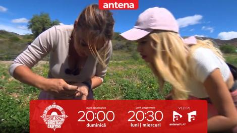 America Express, 28 februarie 2023. Andreea Antonescu, înțepată de un vierme în timp ce curăța ceapă