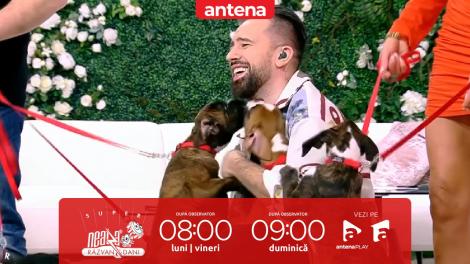 Neatza de Weekend, 5 martie 2023. Totul despre creșterea și îngrijirea unui câine rasa Boxer