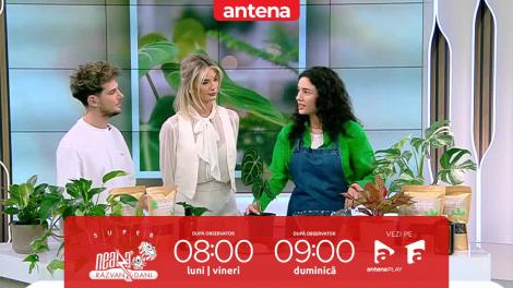 Super Neatza, 3 aprilie 2023. Ghid pentru &icirc;ngrijirea și plantarea florilor primăvara