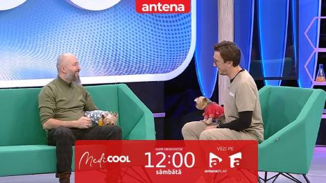 Medicool sezonul 4, 8 aprilie 2023. Momentul potrivit pentru a opera de cataractă un câine