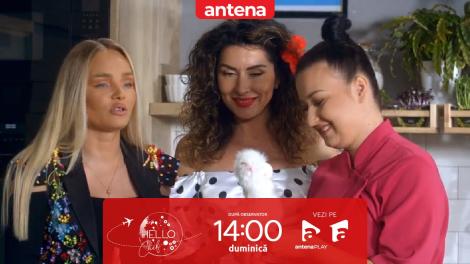 Hello Chef sezonul 5, 16 aprilie 2023. Roxana Blenche și Maria Constantin au preparat Chimichuri steak