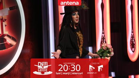 Chefi la cuțite | Sezonul 11, 18 aprilie 2023. Arhanghella e „nimfa din București”! O concurentă cu un stil extravagant