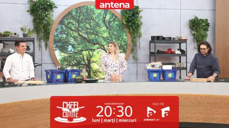 Chefi la cuțite | Sezonul 11, 19 aprilie 2023. Ce amuletă a pus în luptă Gina Pistol după apariția lui Silviu Nedelea