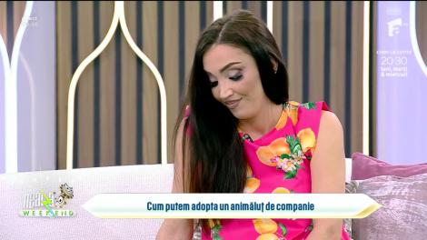 Super Neatza, 30 aprilie 2023. Cum putem adopta un animăluț de companie