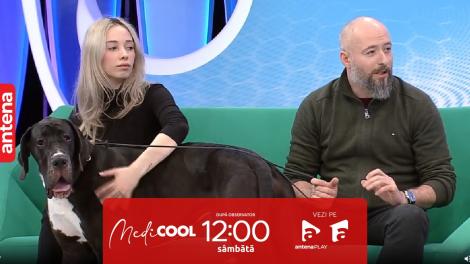 Medicool sezonul 4, 27 mai 2023. Cum alegi animalul potrivit pentru familie