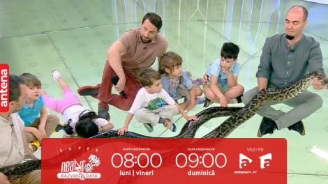 Super Neatza, 7 iunie 2023. Copiii, trăiri inedite cu șerpi de trei metri lungime
