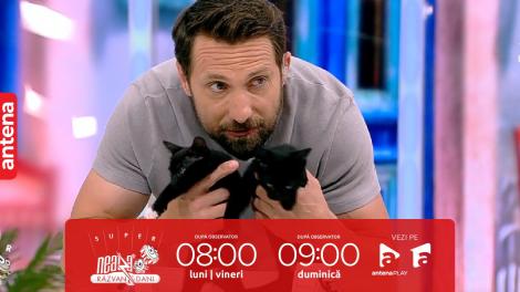 Super Neatza, 27 iunie 2023. Sfaturi utile în adopția unui animal de companie