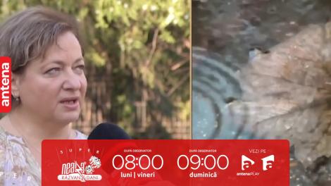 Super Neatza, 31 august 2023. Prognoza Meteo de la ANM. Cum va fi vremea în primul weekend din septembrie