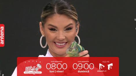 Super Neatza, 3 octombrie 2023. Expoziție de specii exotice de reptile