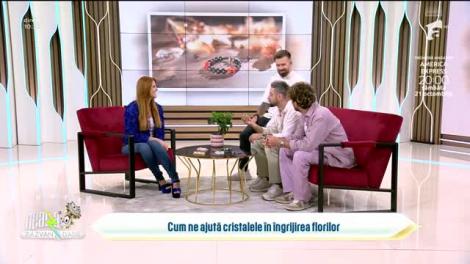 Super Neatza, 12 octombrie 2023. Cum ne ajută cristalele în îngrijirea florilor