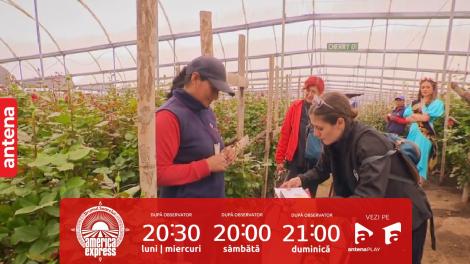 America Express, 15 noiembrie 2023. Ada Galeș, scoasă din sărite la proba din seră! De ce s-a enervat concurenta