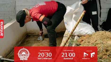 America Express, 22 noiembrie 2023. Iuliana Pepene și Sonia Simionov, la munca de jos! Au avut de curățat cuștile unor porcușori de Guineea
