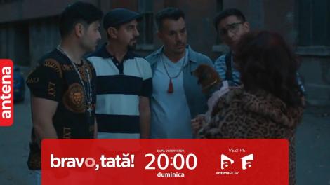 Bravo, tată! | Sezonul 1, episodul 9, 17 decembrie 2023. Emil se panichează când află că Sică a castrat câinele răpit de la mafiot