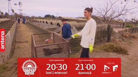 Semifinala America Express, 18 decembrie 2023. Ce s-a întâmplat între Aris și Laura când s-au intersectat la ferma de nutrii. Cum a distras-o tânărul