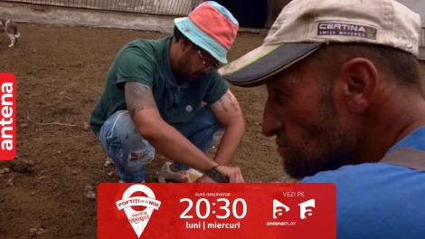 Poftiți pe la noi, 15 ianuarie 2024. Vedetele, puse să tundă oi! Rikito: Îmi era frică să nu o tai!
