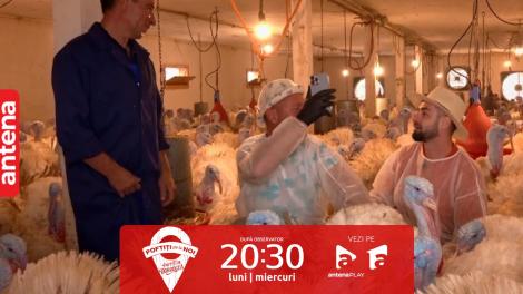 Poftiți pe la noi, 23 ianuarie 2024. Radu Bucălae, în discuție cu curcanii: Cică vor să facă protest în Piața Revoluției