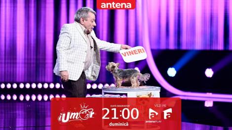 iUmor sezonul 16, 18 februarie 2024. Ion Paliu și Inna - jurizare